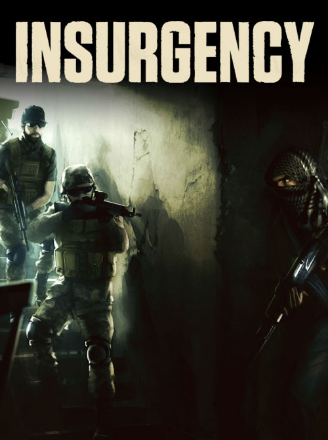 Insurgency