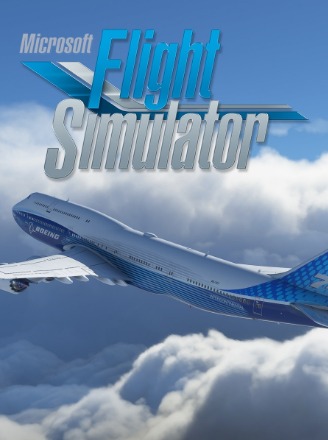 Microsoft Flight Simulator