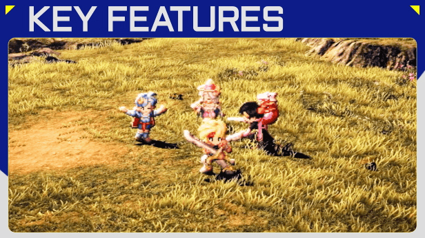 Description Image