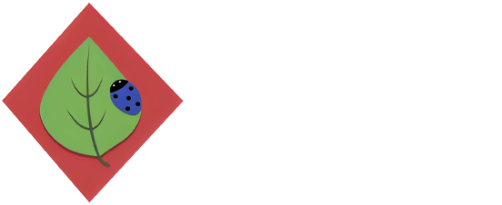 Scalise Artworks Featured Banner