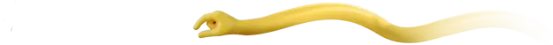 Description image