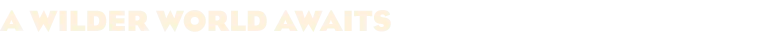 Description image