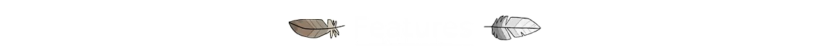Description image