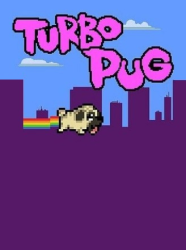 Top Title Banner Image