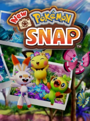 Top Title Banner Image