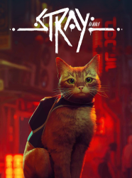 Top Title Banner Image