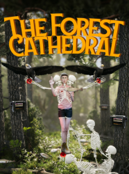 Top Title Banner Image