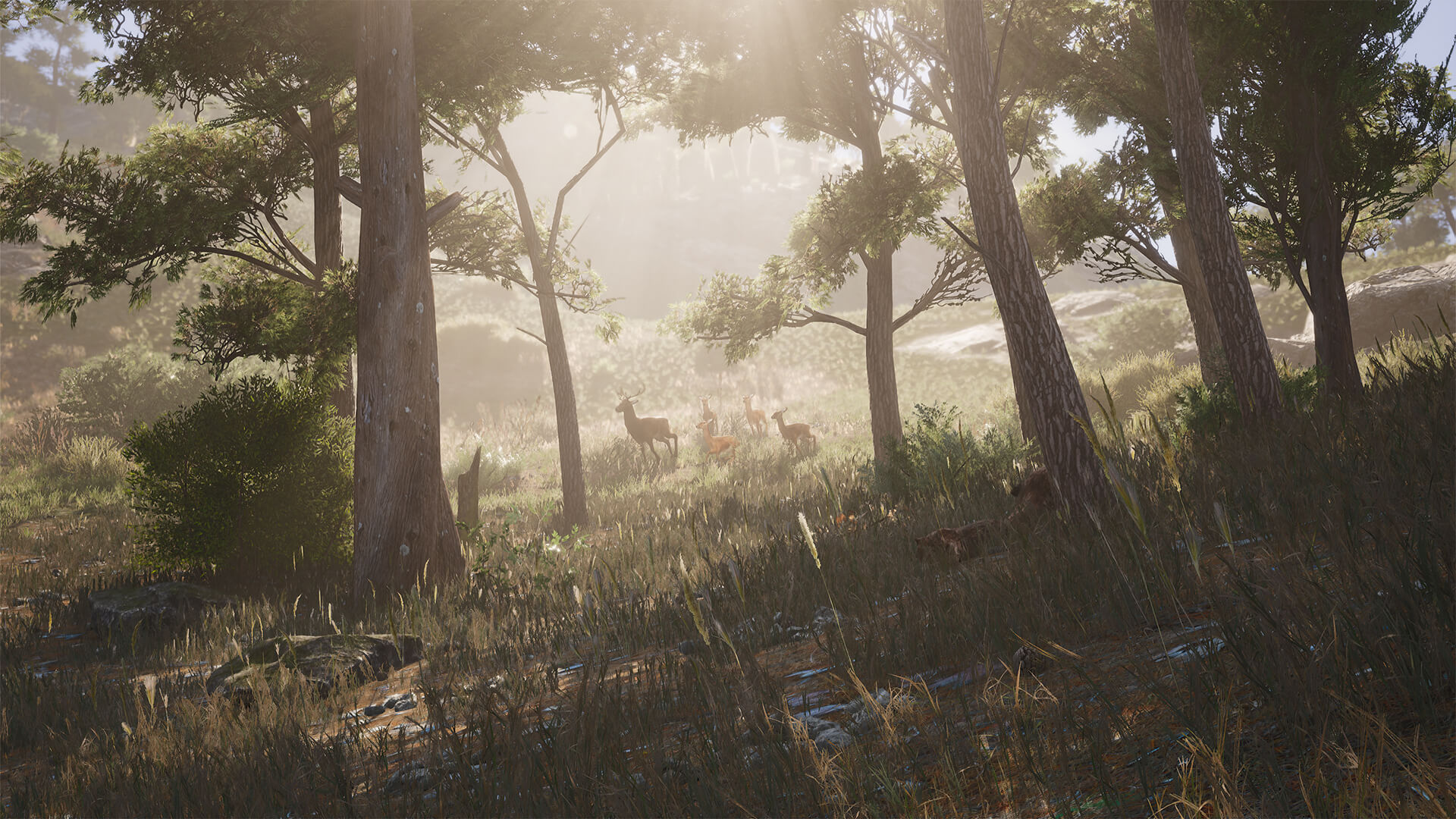 Screenshot thumbnail of SCUM