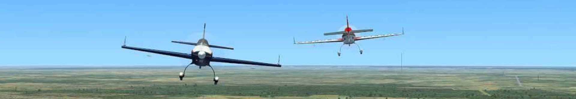 Microsoft Flight Simulator X Banner