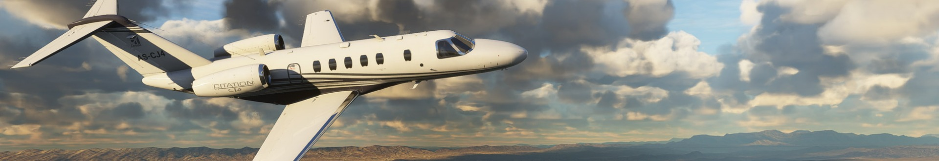 Microsoft Flight Simulator Banner