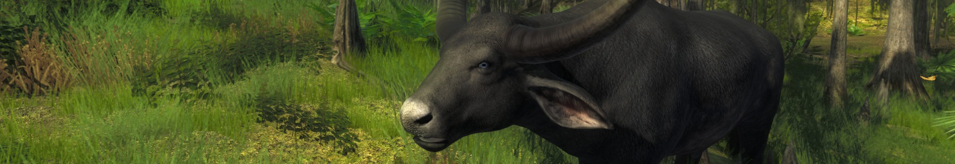 Expansive Worlds Featured Banner