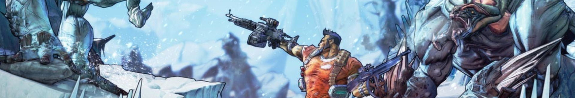 Borderlands: The Handsome Collection Banner