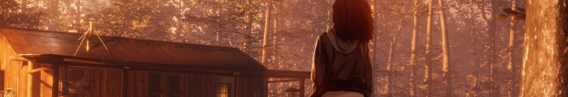 Interior Night Featured Banner