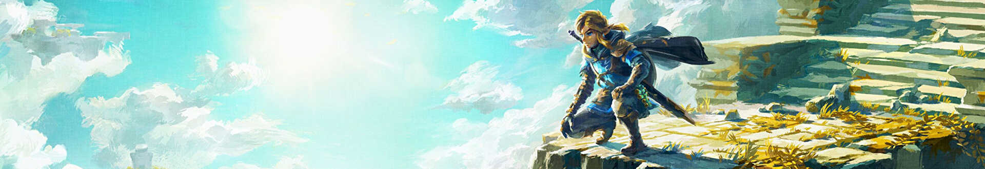 The Legend of Zelda: Tears of the Kingdom Banner