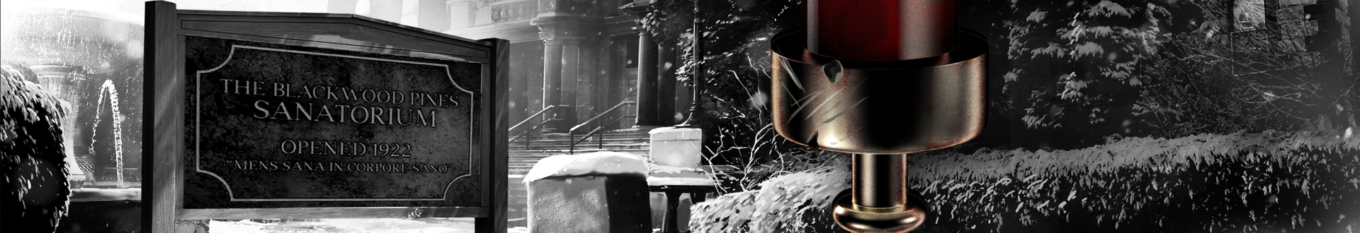 The Inpatient Banner