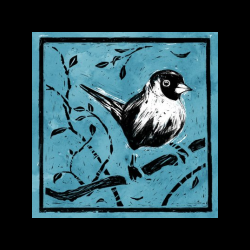 Top Title Banner Image