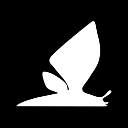 Top Title Banner Image