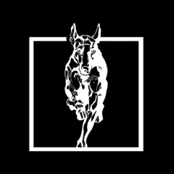 Top Title Banner Image