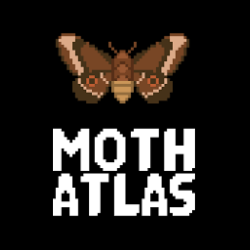 Top Title Banner Image