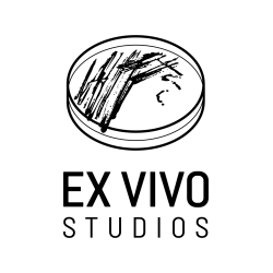 Top Title Banner Image