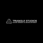 Logo of Triangle Studios