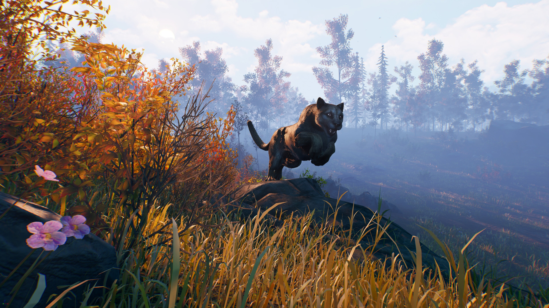 Screenshot thumbnail of Open Country