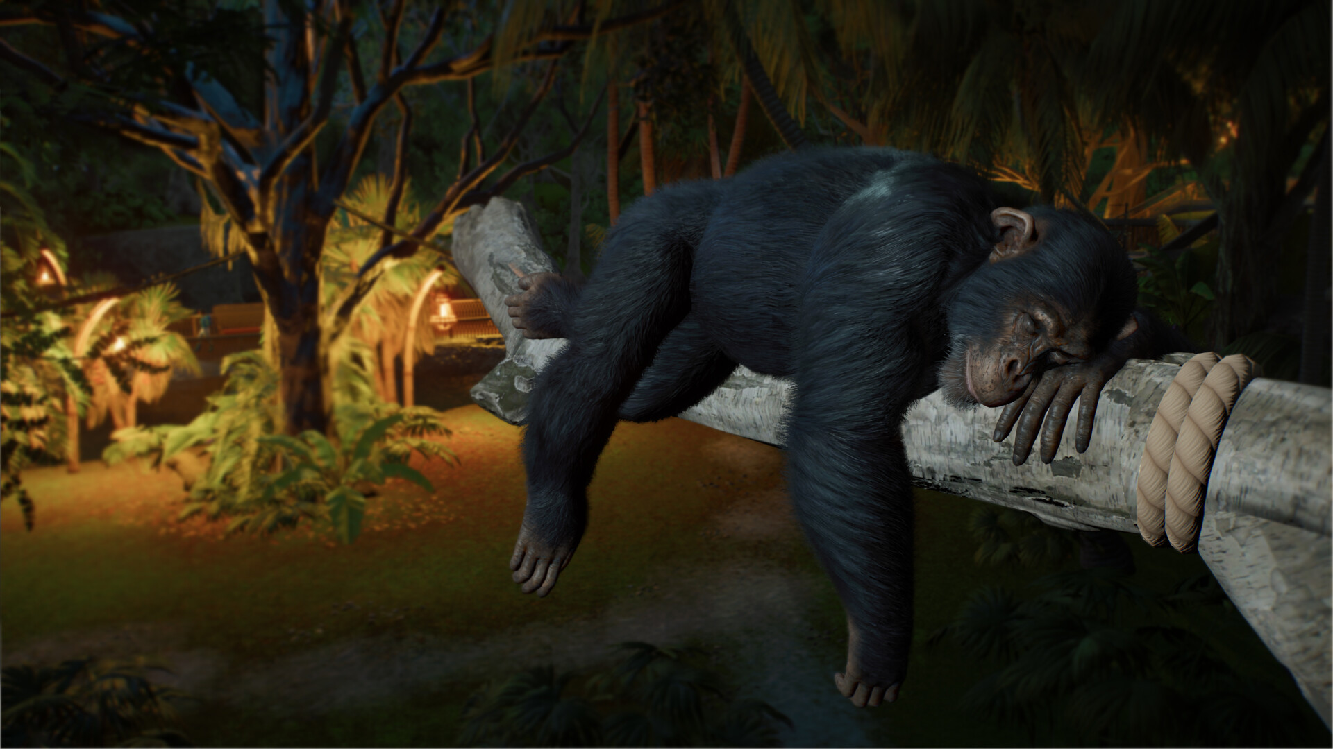 Screenshot thumbnail of Planet Zoo 2