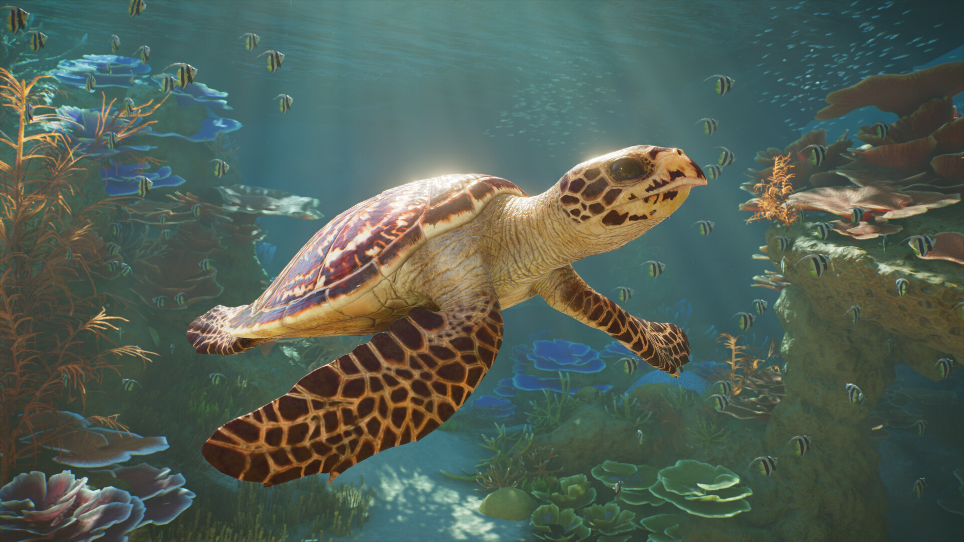 Screenshot thumbnail of Planet Zoo 2