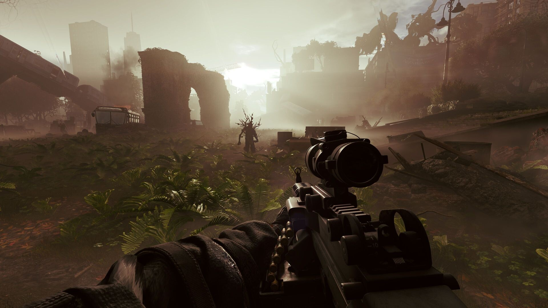 Screenshot thumbnail of Active Matter