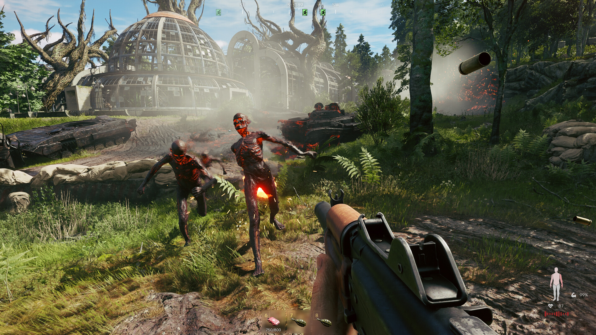 Screenshot thumbnail of Active Matter