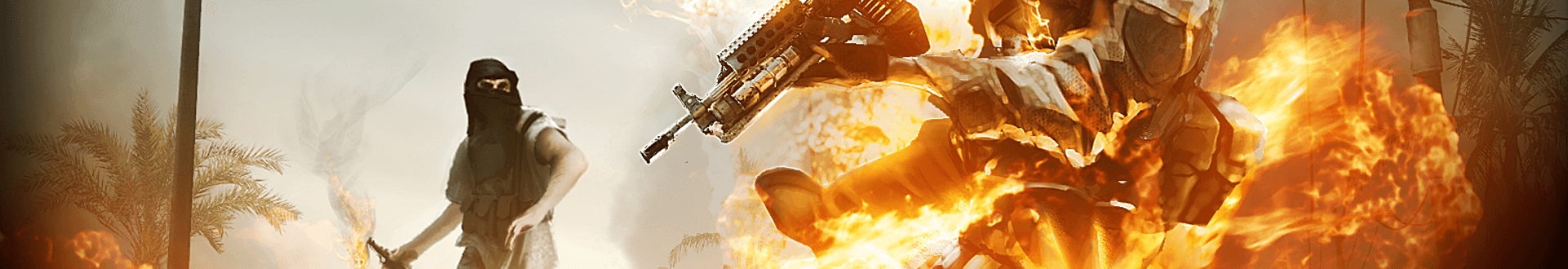 Insurgency Banner