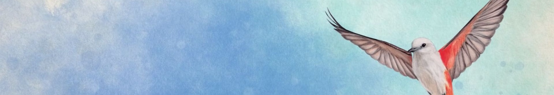 Wingspan Banner