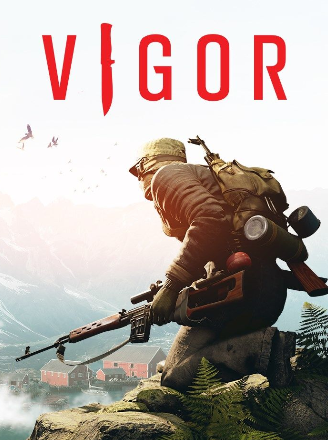 Vigor cover