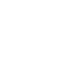 Retailer icon - Temu
